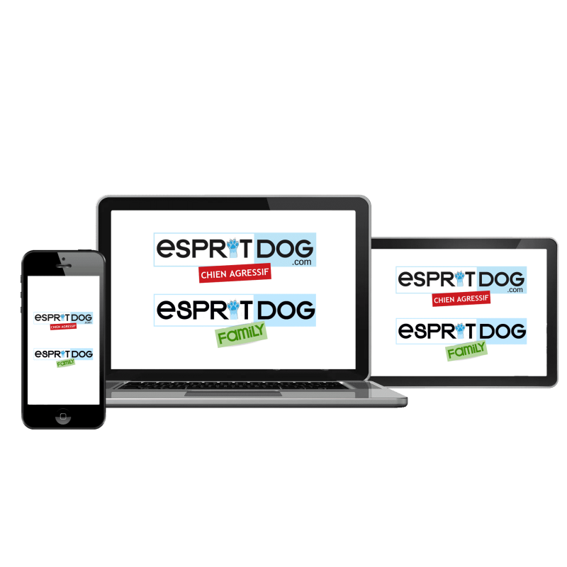 Formation Esprit Dog pack chien agressif + Family - Esprit Dog