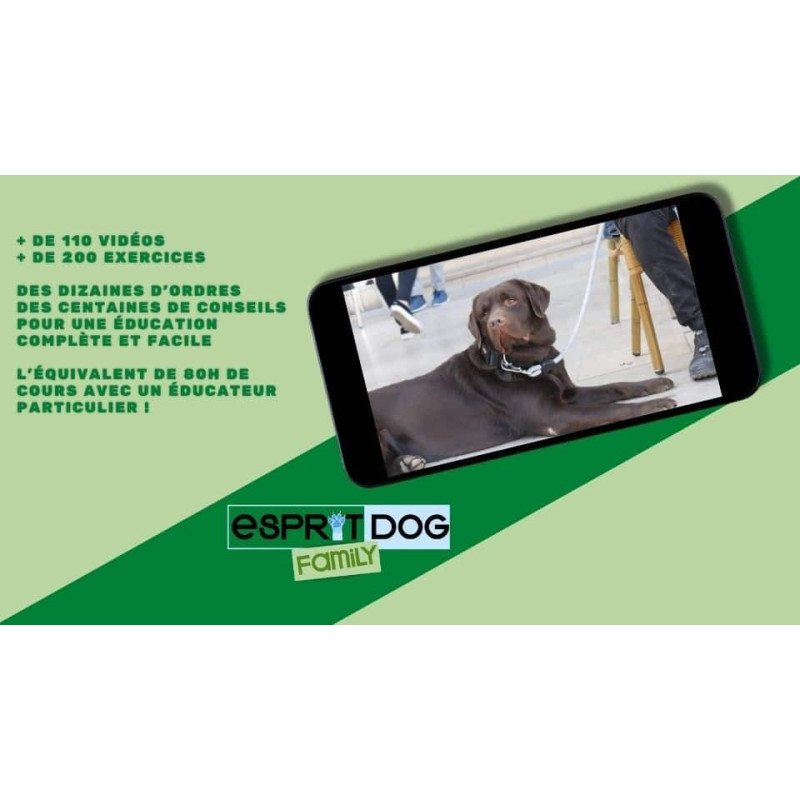 Comment éduquer un chien ? Découvrez notre formation en ligne !