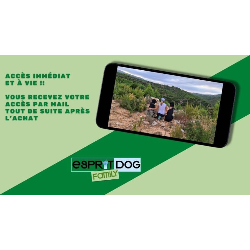 Comment éduquer un chien ? Découvrez notre formation en ligne !