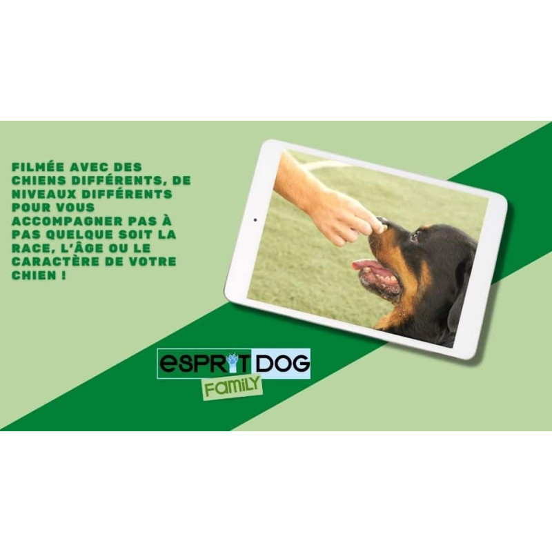 Comment éduquer un chien ? Découvrez notre formation en ligne !