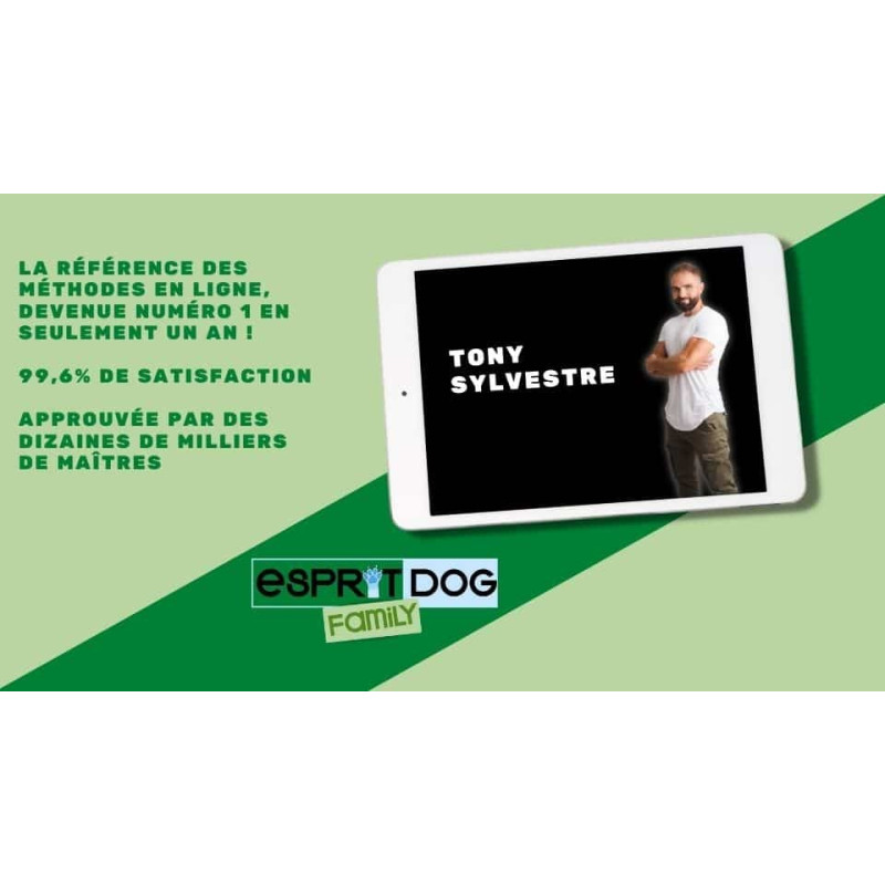 Comment éduquer un chien ? Découvrez notre formation en ligne !