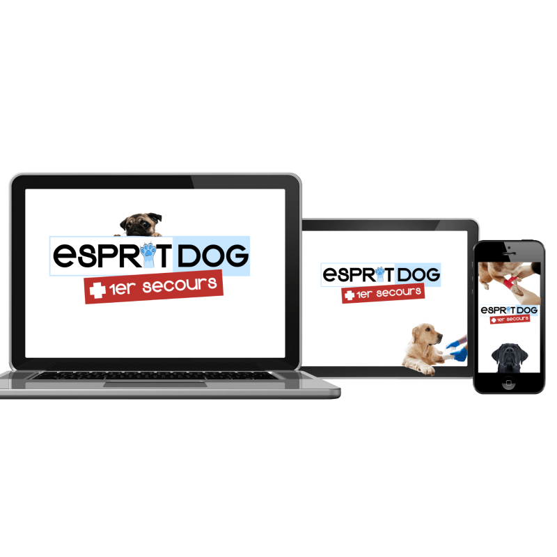 Formation 1er secours - Sauvez votre chien !
