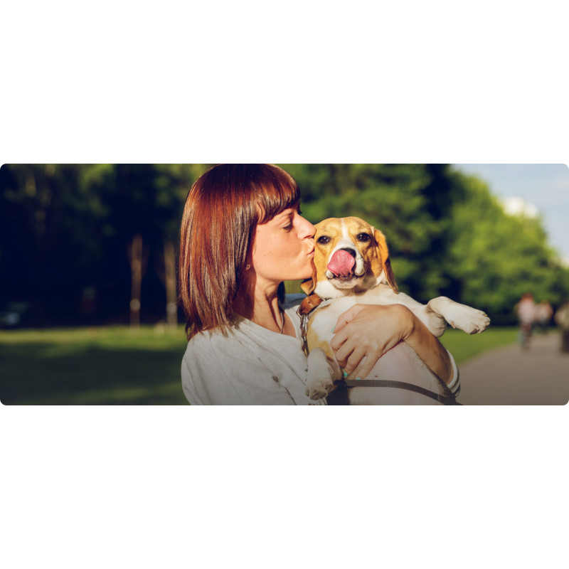 Comment éduquer son Chiot ? Découvrez notre formation en ligne !