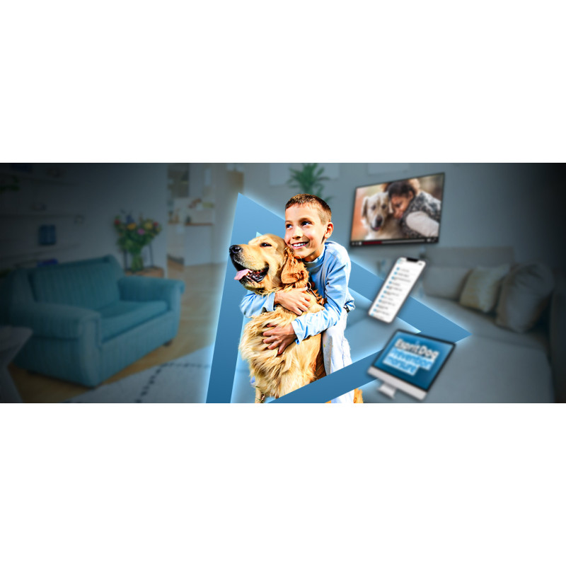 Prévention morsure : tout pour les éviter et les anticiper !