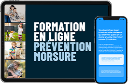 Prévention morsure : tout pour les éviter et les anticiper !