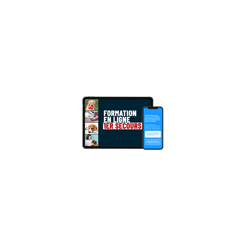 Formation 1er secours - Sauvez votre chien !