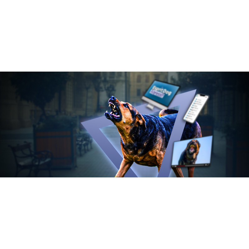 Chien agressif, que faire ? La formation 100 % en ligne