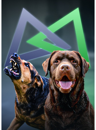 Formation Esprit Dog pack chien agressif + Family - Esprit Dog