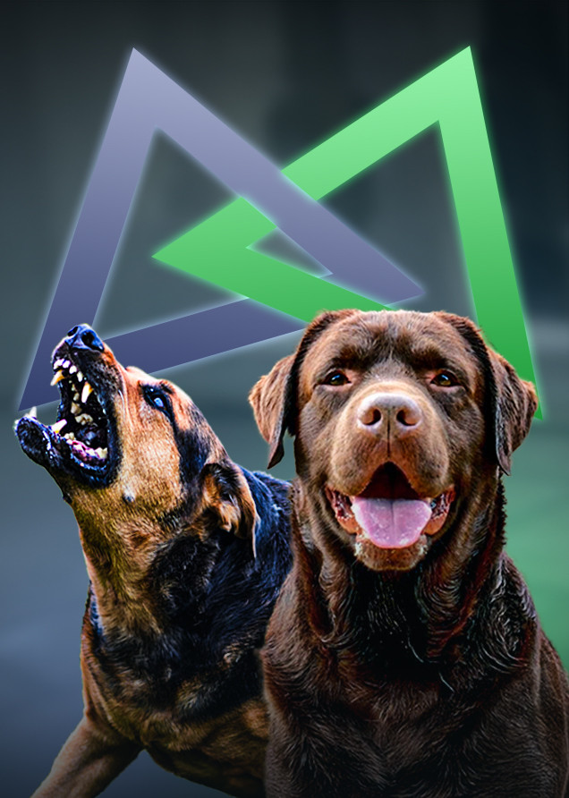 Formation Esprit Dog pack chien agressif + Family