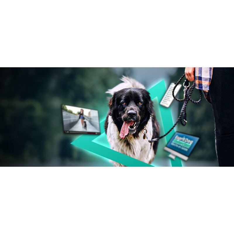 Esprit Dog MASTERCLASS « Marche en laisse » - Esprit Dog