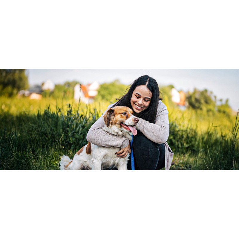 Comment éduquer un chien ? Découvrez notre formation en ligne !