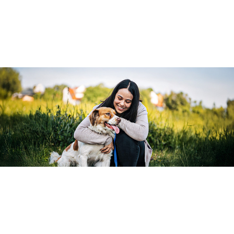 Comment éduquer un chien ? Découvrez notre formation en ligne !