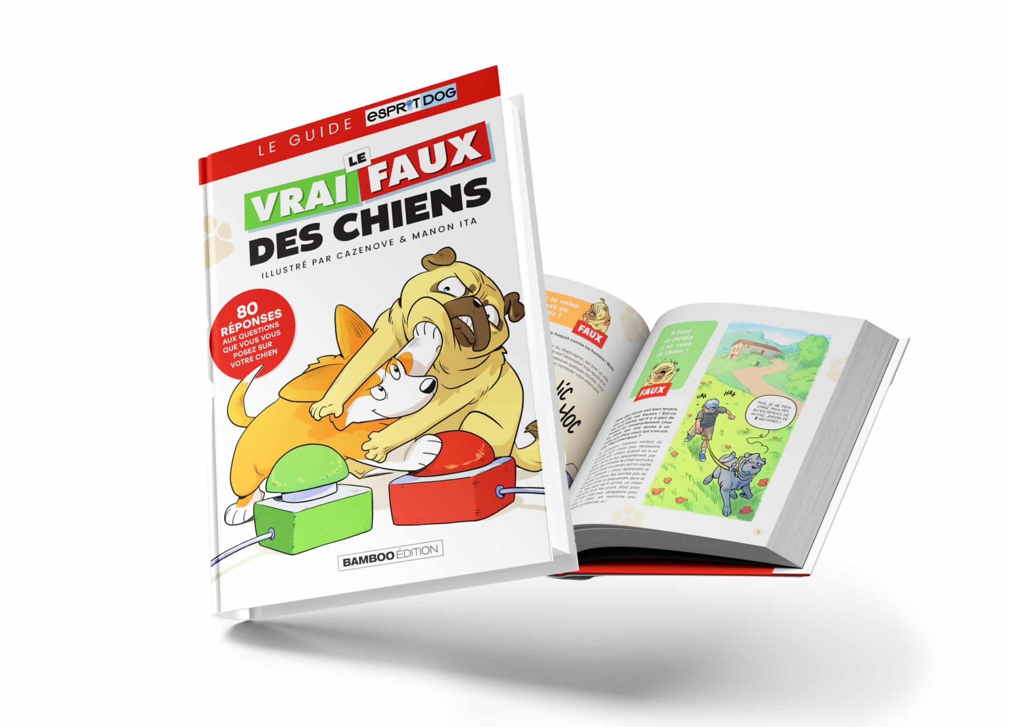 Le VRAI / FAUX des chiens - Esprit Dog