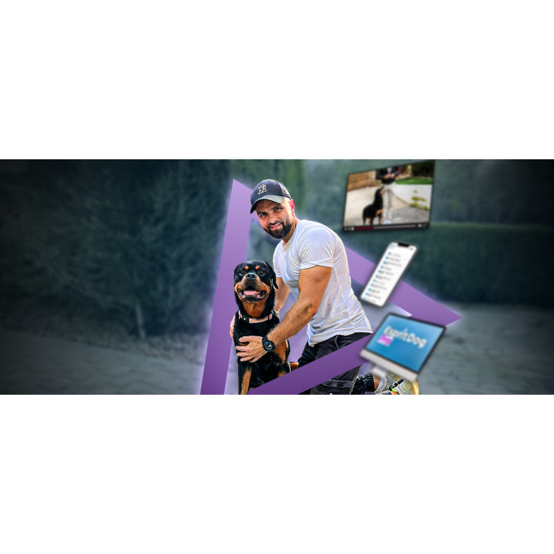 Devenez éducateur canin ! Découvrez notre formation en ligne !