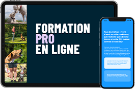 Devenez éducateur canin ! Découvrez notre formation en ligne !