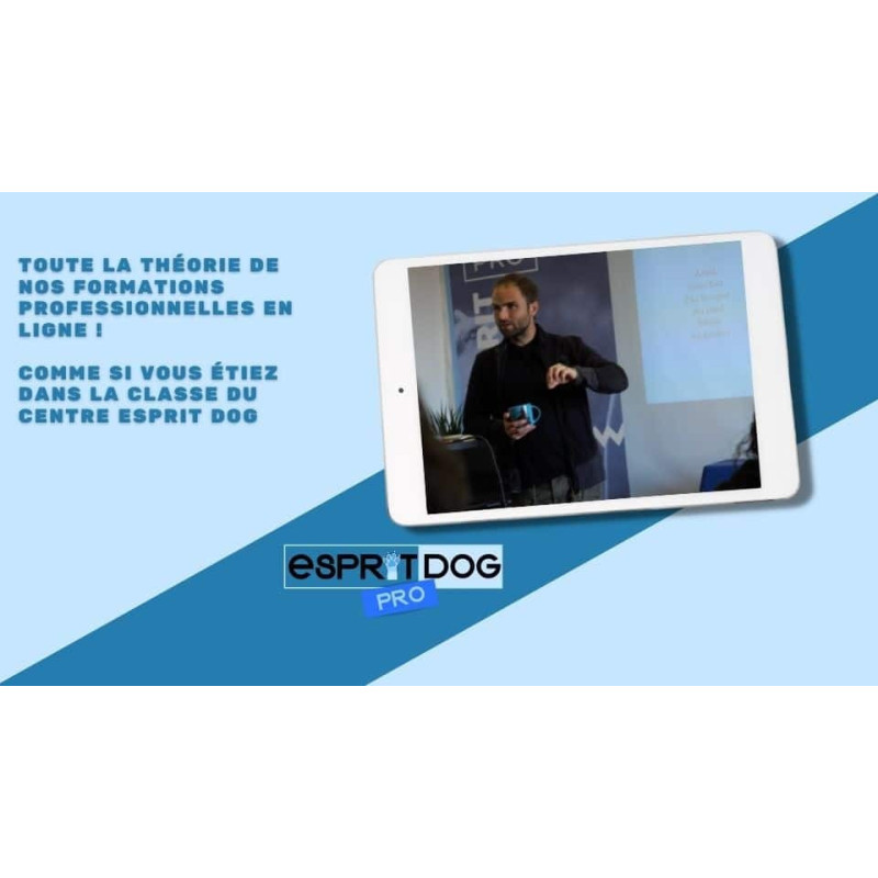 Devenez éducateur canin ! Découvrez notre formation en ligne !