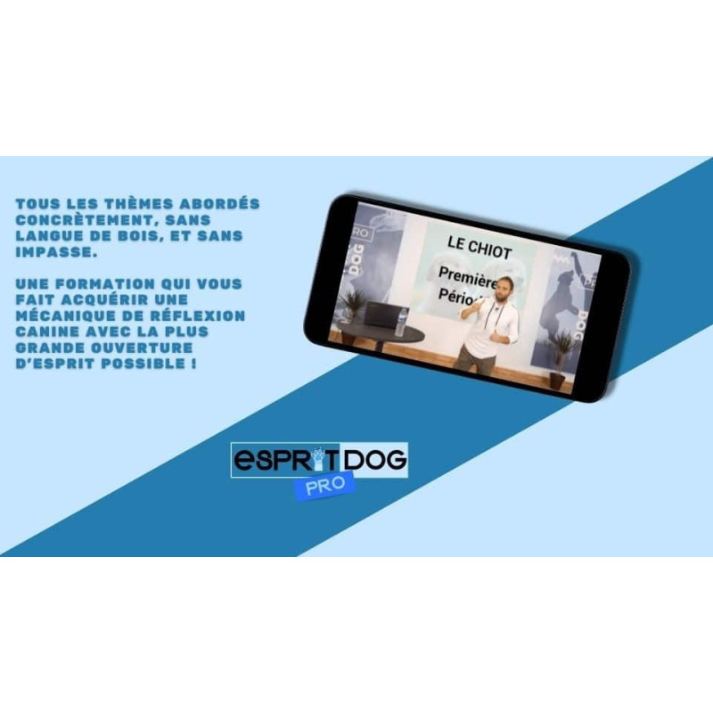 Devenez éducateur canin ! Découvrez notre formation en ligne !