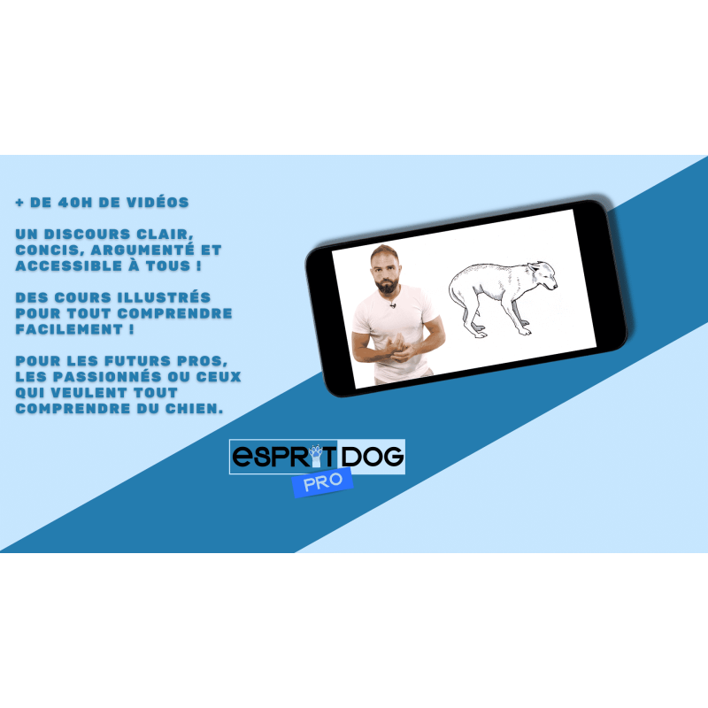 Devenez éducateur canin ! Découvrez notre formation en ligne !