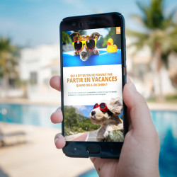 Le Guide de l'été 2025 - Esprit Dog