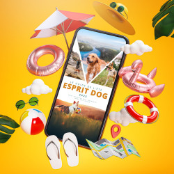 Le Guide de l'été 2025 - Esprit Dog