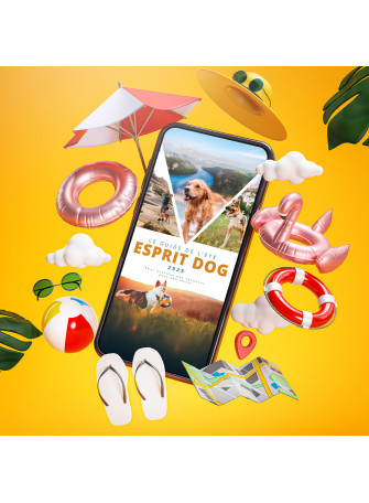 Le Guide de l'été 2025 - Esprit Dog