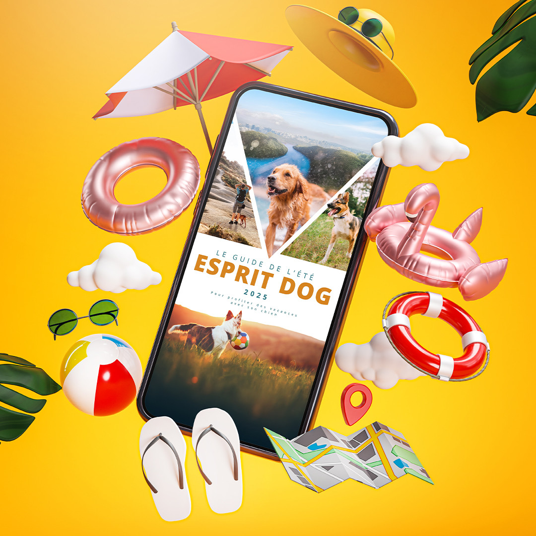 Le Guide de l'été 2025 - Esprit Dog
