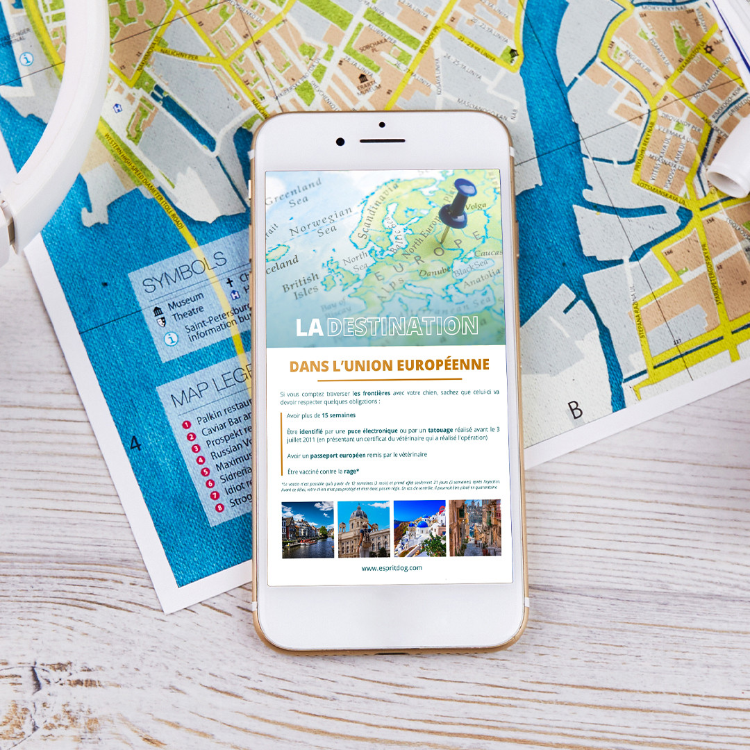 Le Guide de l'été 2025 - Esprit Dog