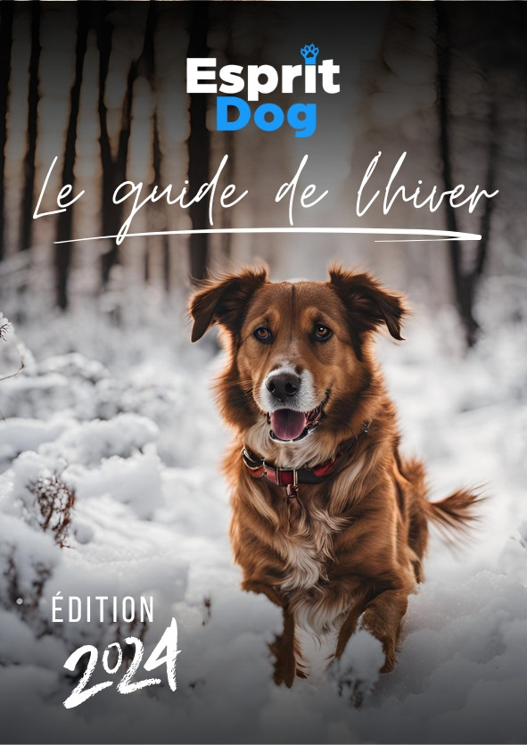 Le Guide de l'hiver - Esprit Dog