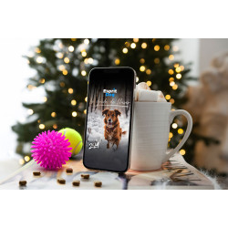 Le Guide de l'hiver - Esprit Dog