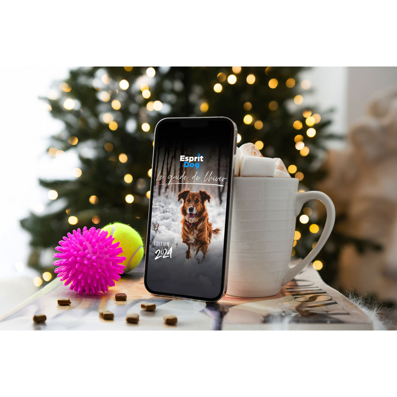 Le Guide de l'hiver - Esprit Dog