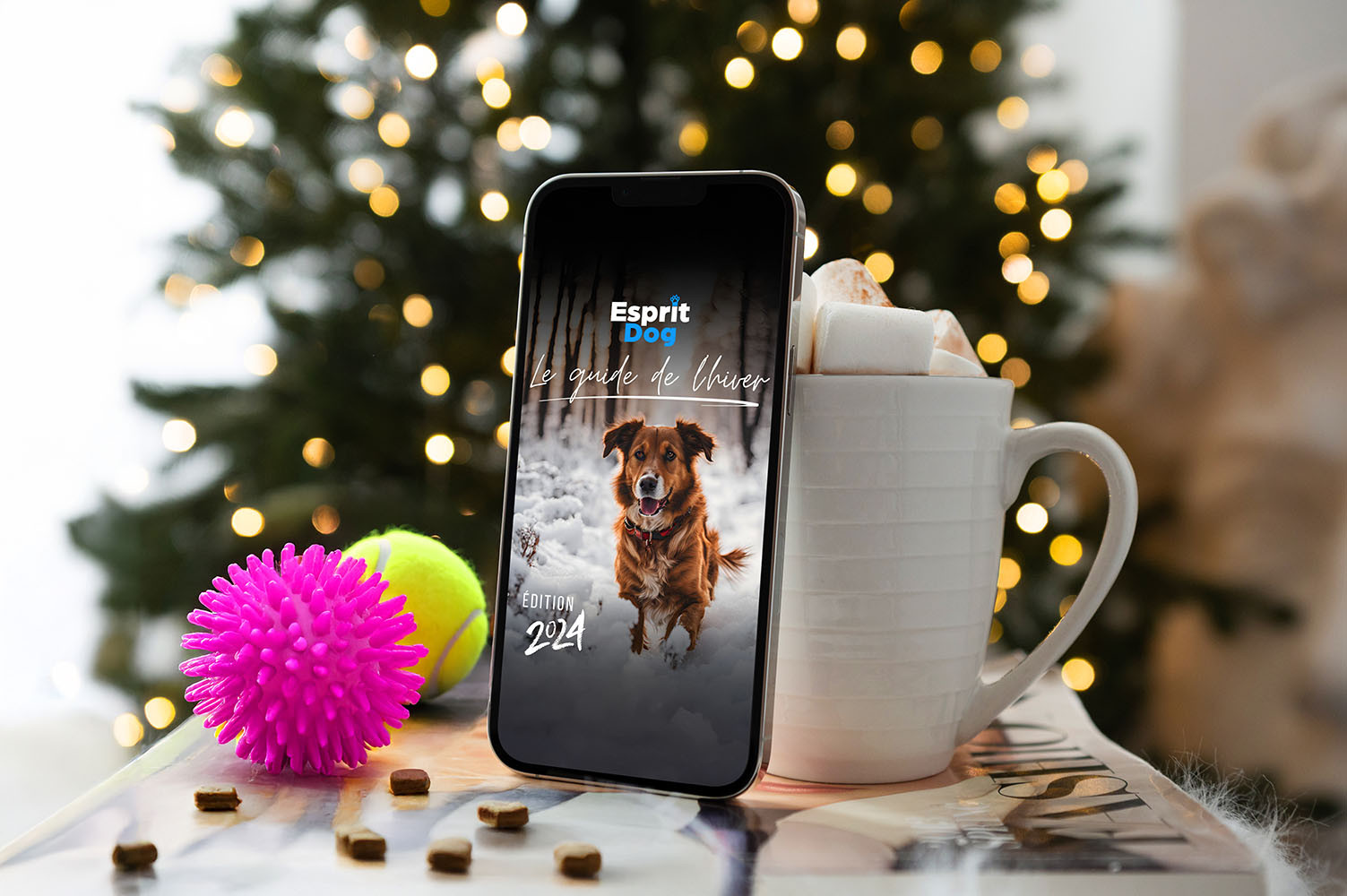 Le Guide de l'hiver - Esprit Dog