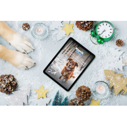 Le Guide de l'hiver - Esprit Dog