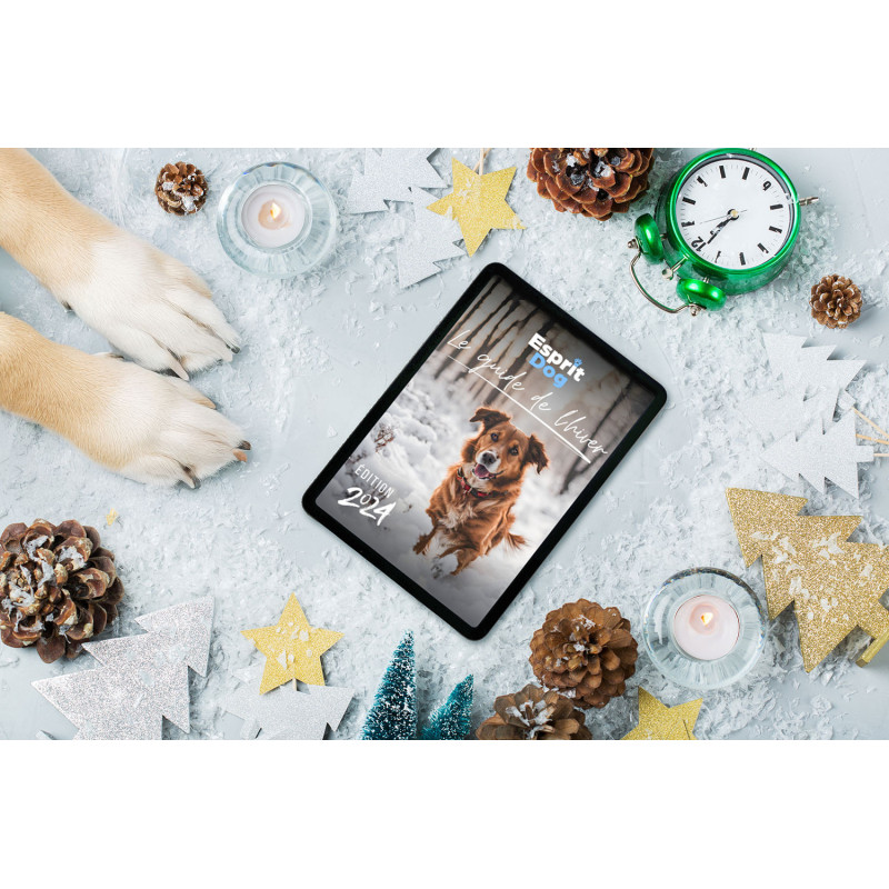 Le Guide de l'hiver - Esprit Dog