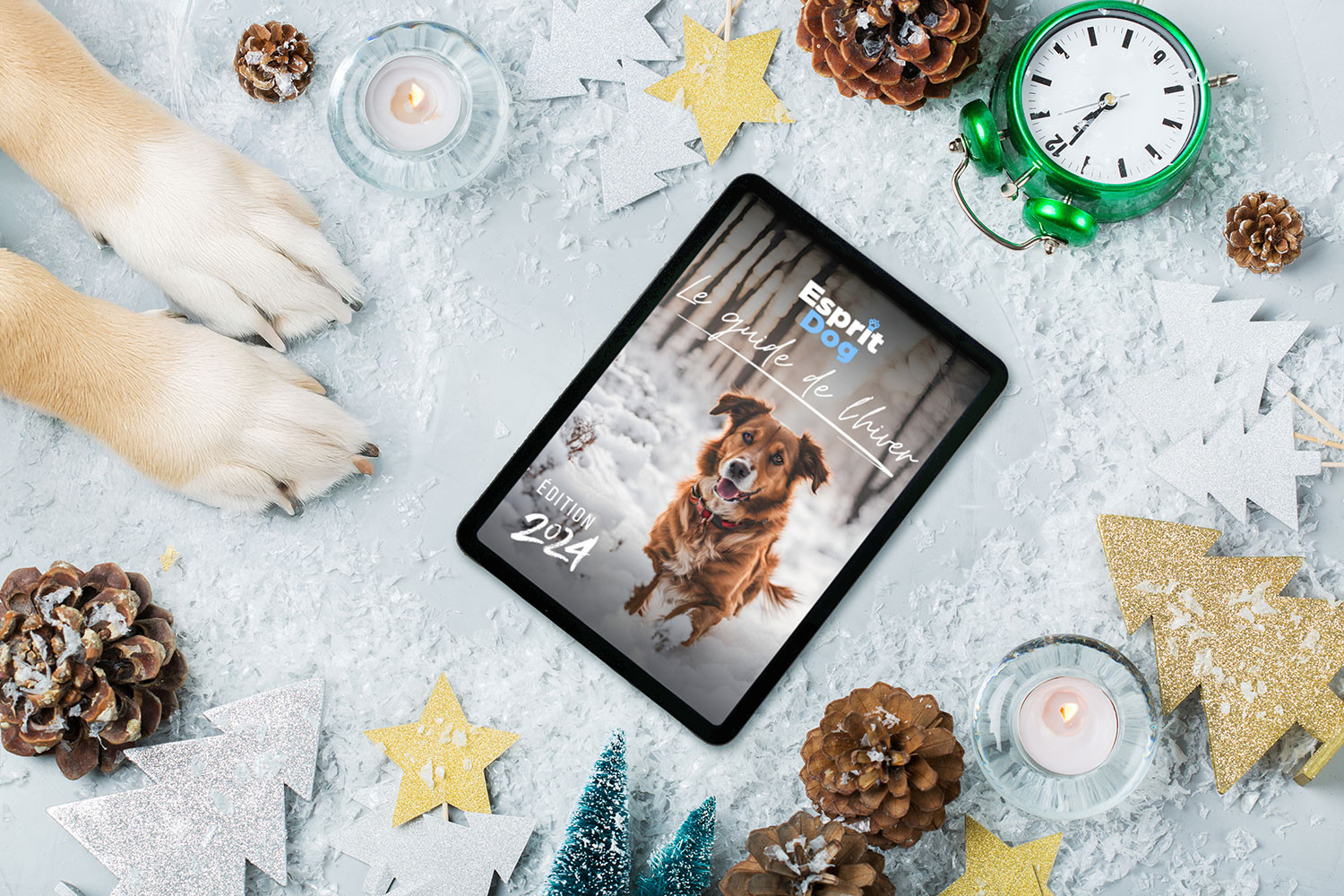 Le Guide de l'hiver - Esprit Dog