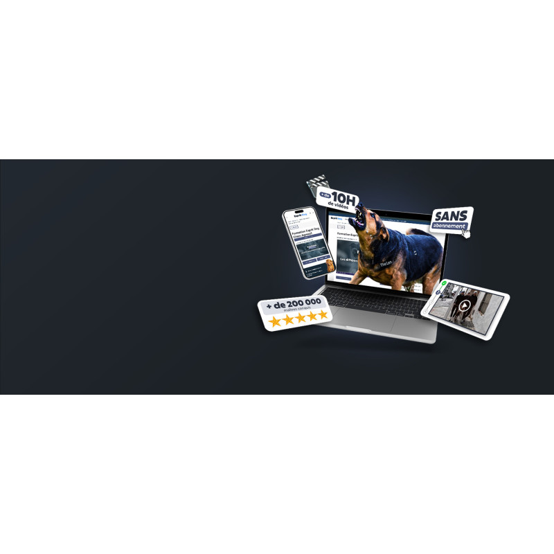 Chien agressif, que faire ? La formation 100 % en ligne