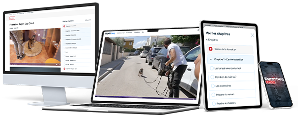 Comment éduquer son Chiot ? Découvrez notre formation en ligne !