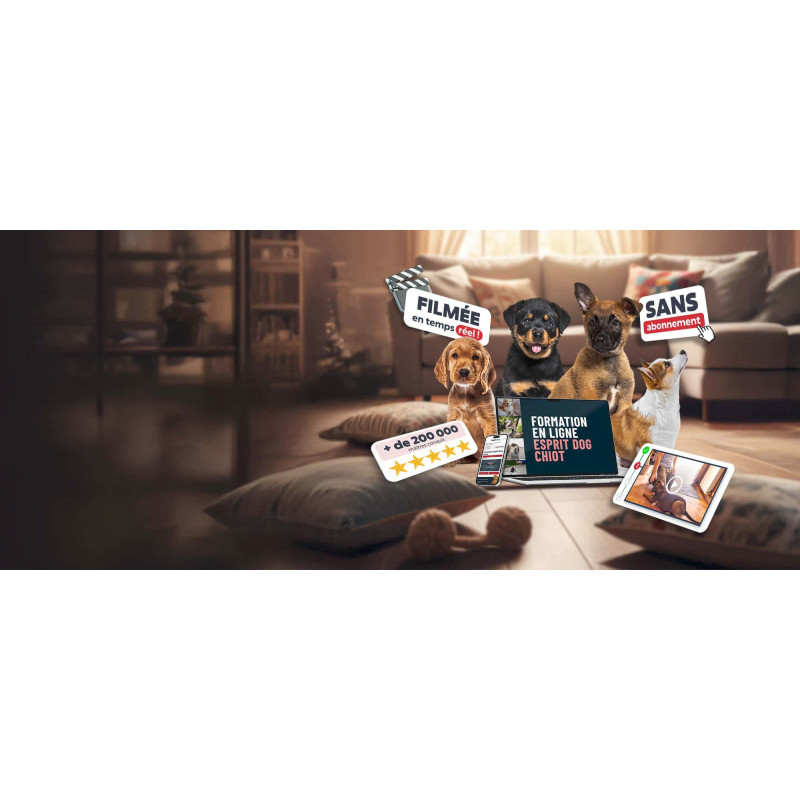 Comment éduquer son Chiot ? Découvrez notre formation en ligne !