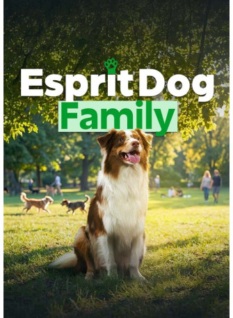 Comment éduquer un chien ? Découvrez notre formation en ligne !