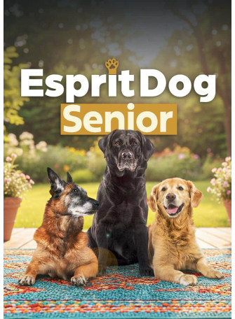 Prendre soin de son vieux chien : formation 100 % en ligne !