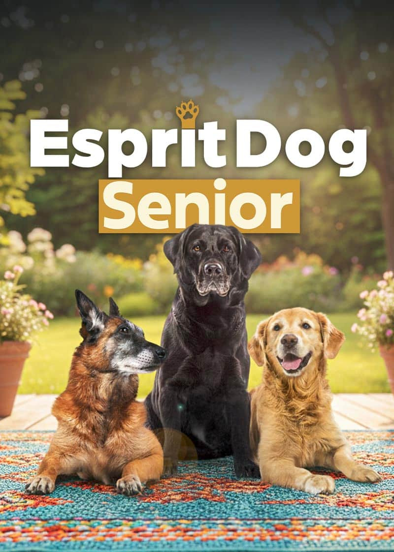 Esprit Dog Senior