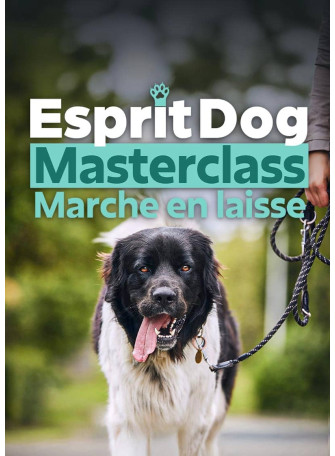 Esprit Dog MASTERCLASS « Marche en laisse » - Esprit Dog