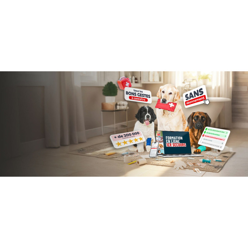 Formation 1er secours - Sauvez votre chien !