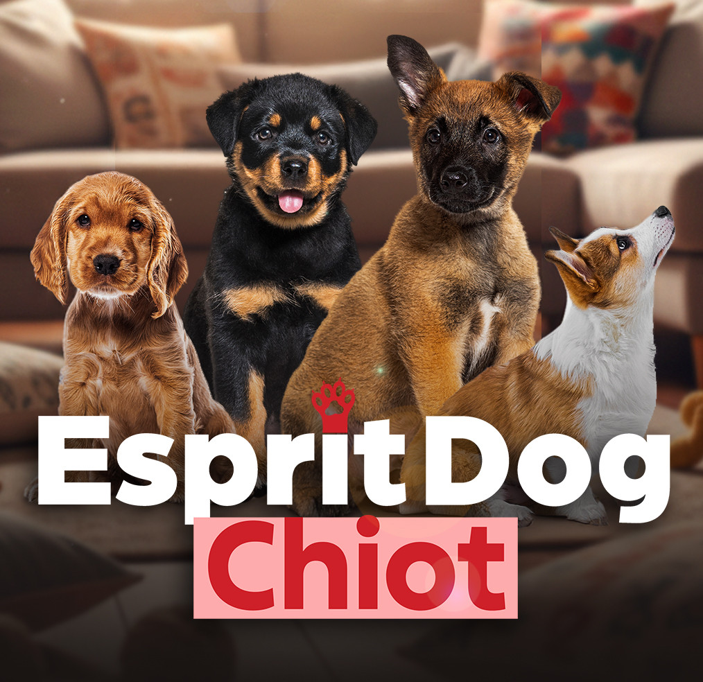 Esprit Dog Chiot
