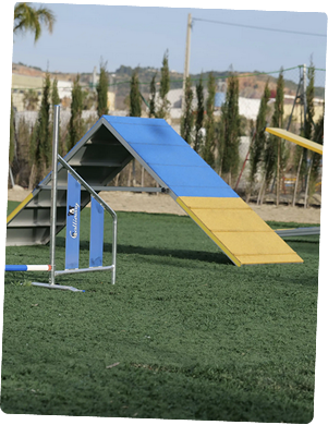 Le centre de formation Esprit Dog