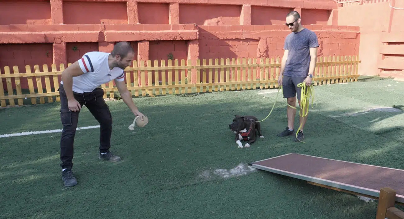 Pourquoi faire un stage intensif ?