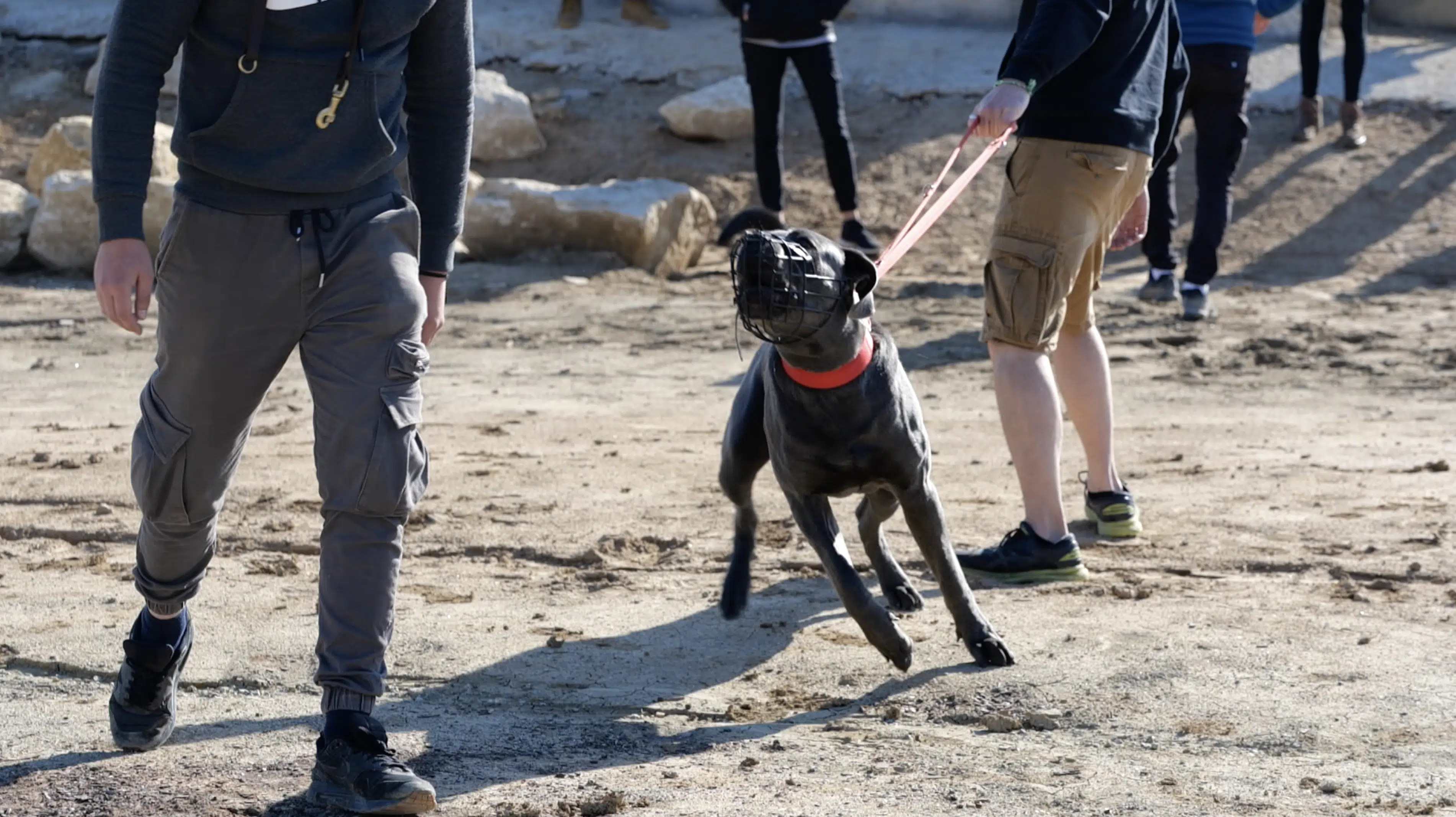 Une formation extrêmement exigeante !