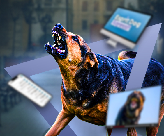 Esprit Dog Chien Agressif