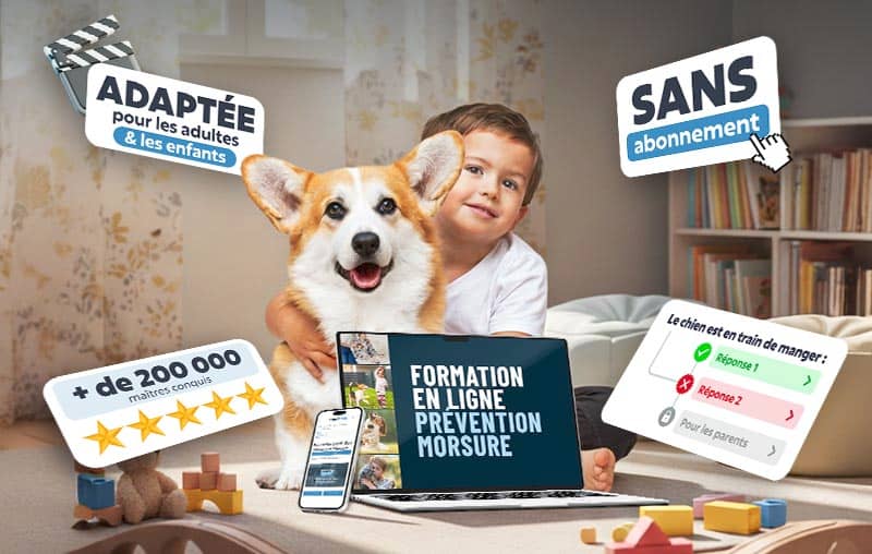 Esprit Dog Prévention Morsure