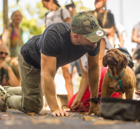 Les formations d'éducation canine en ligne Esprit Dog
