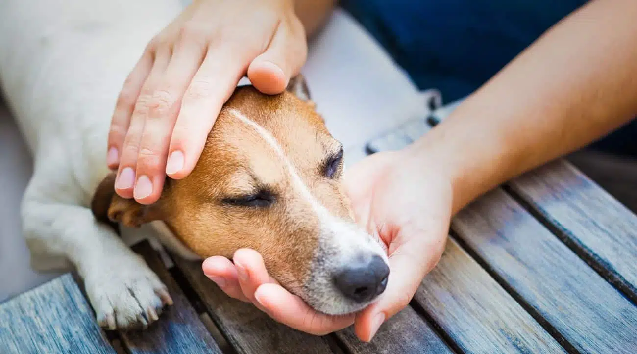 Les 10 points forts :